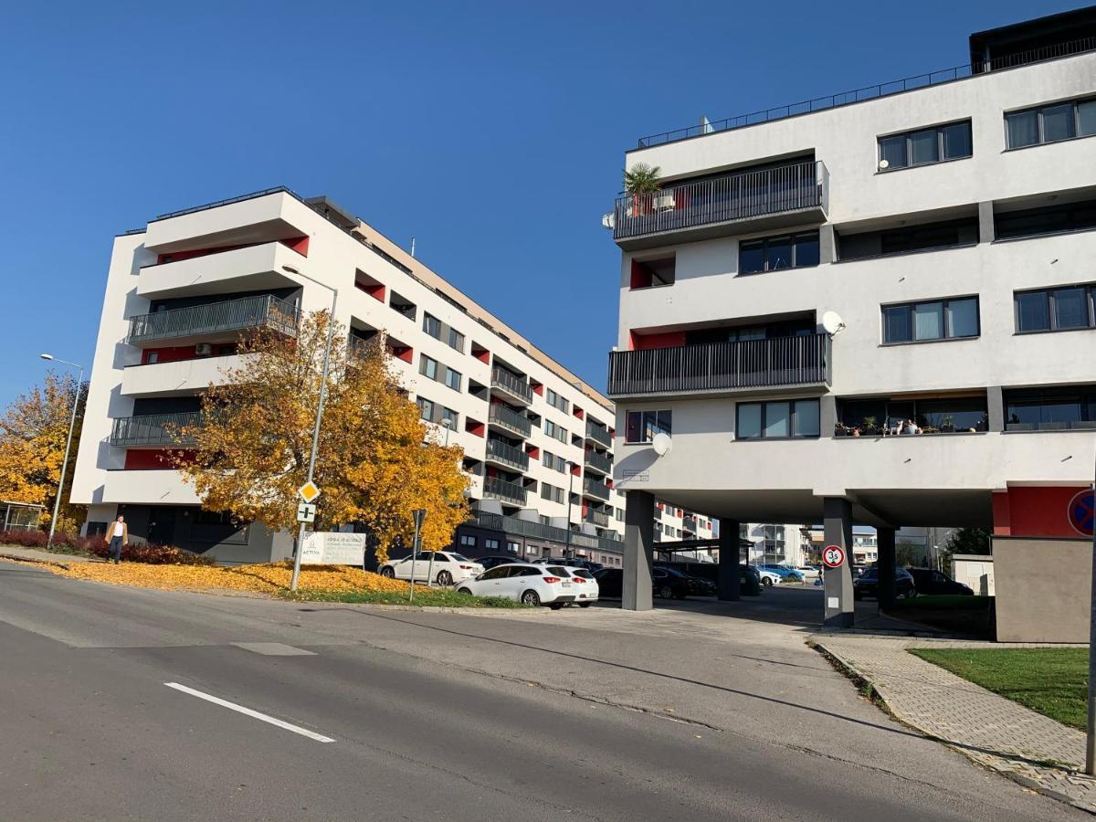Bl - The Executive Suite, Boru - 24Hr Self Check-In, Free Private Parking, Balcony With Mountain View, 5 Minute Walk To City Center بانْشكا بيشتريتْسا المظهر الخارجي الصورة