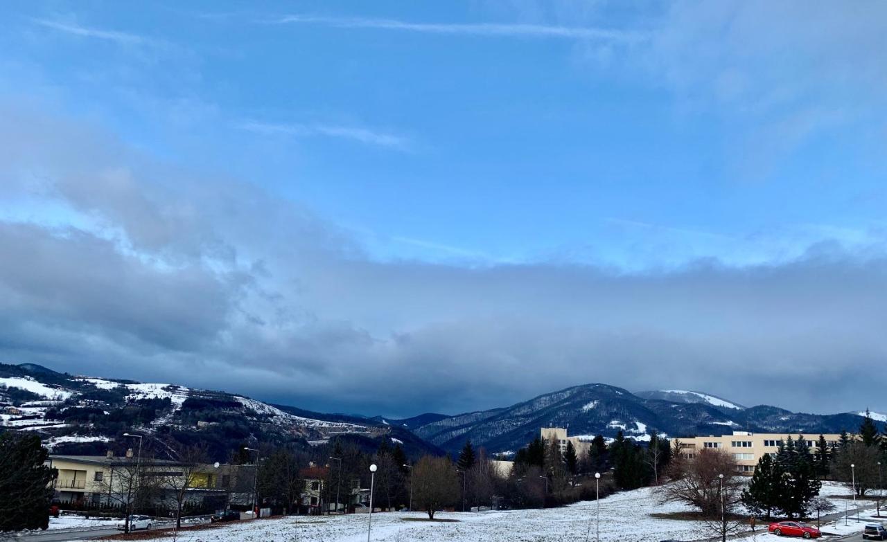 Bl - The Executive Suite, Boru - 24Hr Self Check-In, Free Private Parking, Balcony With Mountain View, 5 Minute Walk To City Center بانْشكا بيشتريتْسا المظهر الخارجي الصورة